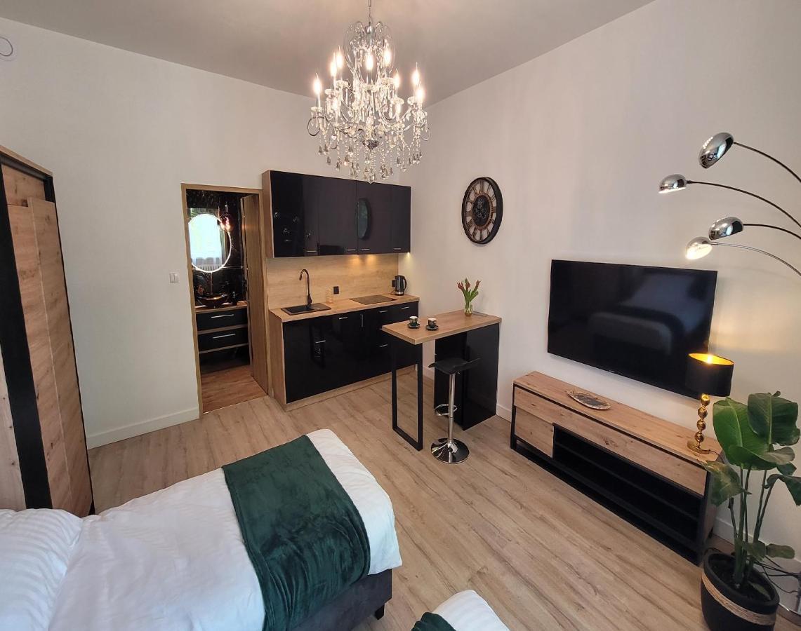 Good Day Apartment Centrum Katowice Buitenkant foto